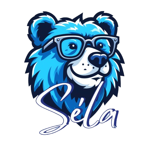 Séla - Infogérance MSP